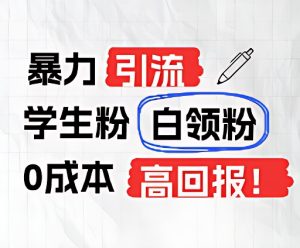 暴力引流学生粉白领粉，吊打以往垃圾玩法，0成本，高回报-网创电课网