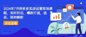 2024年7月拼多多实战运营现场课程，实时玩法，爆款打造，选品、规则解析-网创电课网