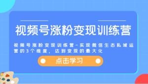 视频号涨粉变现训练营-实现微信生态私域运营的3个维度，达到变现的最大化-网创电课网