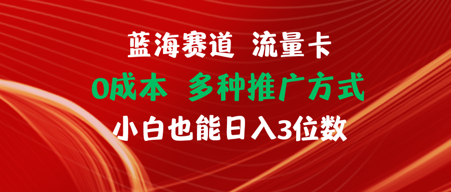 （11768期）蓝海赛道 流量卡 0成本 小白也能日入三位数-网创电课网
