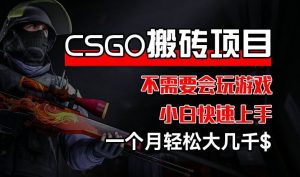 CSGO 装备搬砖项目，操作简单，不需要会玩游戏，小白也能快速上手，一个月轻松大几千【揭秘】-网创电课网