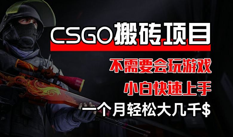 CSGO 装备搬砖项目，操作简单，不需要会玩游戏，小白也能快速上手，一个月轻松大几千【揭秘】-网创电课网