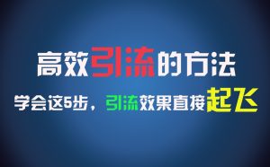高效引流的方法，可以帮助你日引300+创业粉，一年轻松收入30万，比打工强太多！-网创电课网