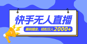 （11782期）快手美女跳舞3.0，简单无脑，轻轻松松日入2000+-网创电课网