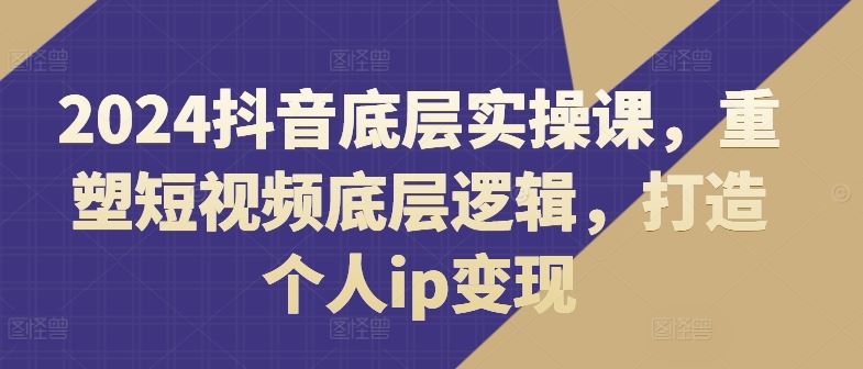 2024抖音底层实操课，​重塑短视频底层逻辑，打造个人ip变现-网创电课网
