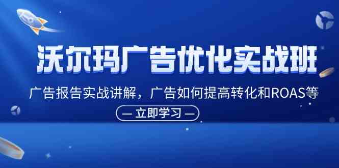 沃尔玛广告优化实战班，广告报告实战讲解，广告如何提高转化和ROAS等-网创电课网