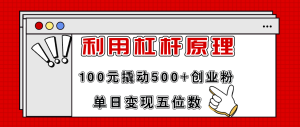 （11859期）利用杠杆100元撬动500+创业粉，单日变现5位数-网创电课网