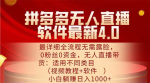 （11891期）拼多多无人直播软件最新4.0，最详细全流程无需露脸，0粉丝0资金， 小白…-网创电课网