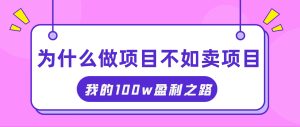 （11893期）抓住互联网创业红利期，我通过卖项目轻松赚取100W+-网创电课网