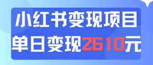 （11885期）利用小红书卖资料单日引流150人当日变现2610元小白可实操（教程+资料）-网创电课网