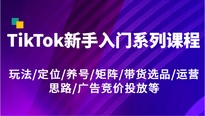 TikTok新手入门系列课程，玩法/定位/养号/矩阵/带货选品/运营思路/广告竞价投放等-网创电课网