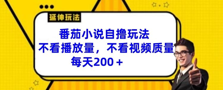 番茄小说自撸玩法,不看播放量,不看视频质量,每天200+【揭秘】-网创电课网