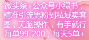 微头条+公众号小绿书，精准引流男粉到私域卖套图，无脑操作，有手就行，每单99-200，每天5单-网创电课网