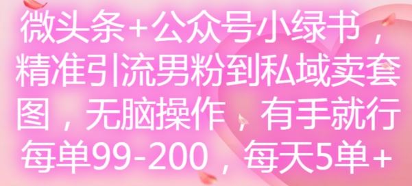 微头条+公众号小绿书，精准引流男粉到私域卖套图，无脑操作，有手就行，每单99-200，每天5单-网创电课网
