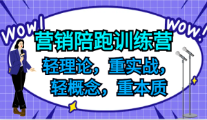 营销陪跑训练营，轻理论，重实战，轻概念，重本质，适合中小企业和初创企业的老板-网创电课网