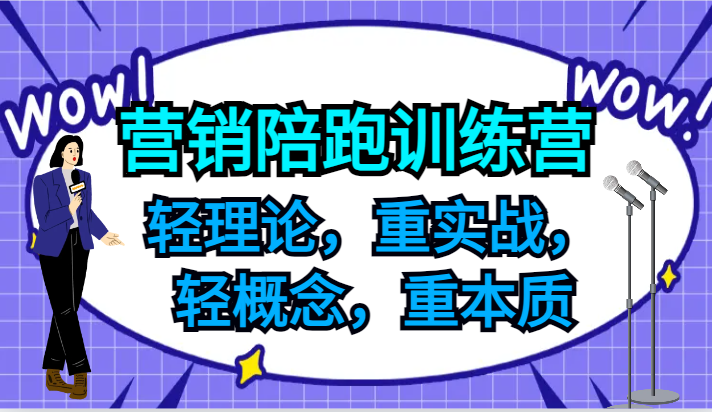 营销陪跑训练营，轻理论，重实战，轻概念，重本质，适合中小企业和初创企业的老板-网创电课网