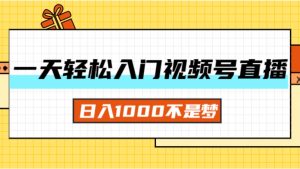 （11906期）一天入门视频号直播带货，日入1000不是梦-网创电课网