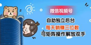 （11910期）微信视频号自助独立后台每天躺赚三位数可矩阵操作解放双手-网创电课网