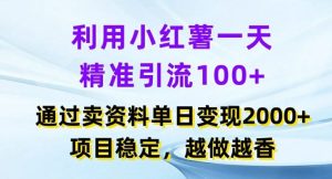 利用小红书一天精准引流100+,通过卖项目单日变现2k+,项目稳定,越做越香【揭秘】-网创电课网