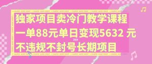 独家项目卖冷门教学课程一单88元单日变现5632元违规不封号长期项目【揭秘】-网创电课网