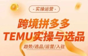 跨境拼多多TEMU实操与选品，多多temu跨境选品运营实操-网创电课网