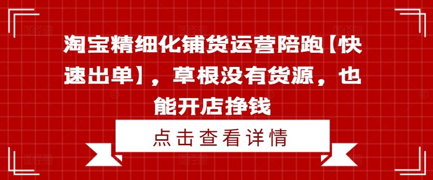 淘宝精细化铺货运营陪跑【快速出单】,草根没有货源,也能开店挣钱-网创电课网