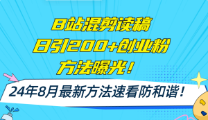 (11975期)B站混剪读稿日引200+创业粉方法4.0曝光,24年8月最新方法Ai一键操作 速…-网创电课网