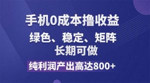 (11976期)纯利润高达800+,手机0成本撸羊毛,项目纯绿色,可稳定长期操作!-网创电课网