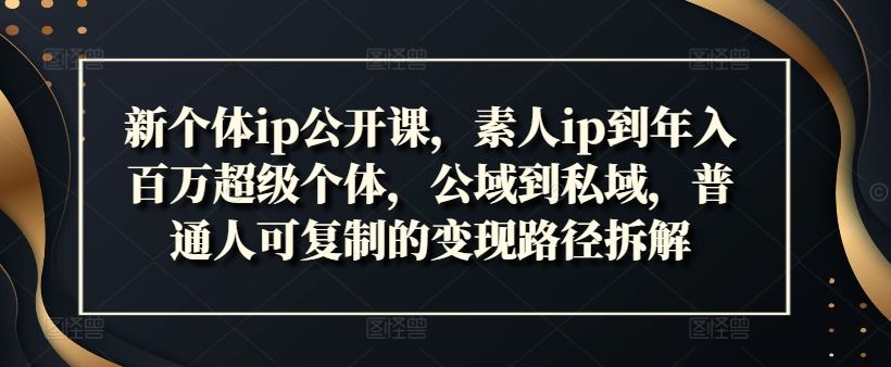 新个体ip公开课,素人ip到年入百万超级个体,公域到私域,普通人可复制的变现路径拆解-网创电课网