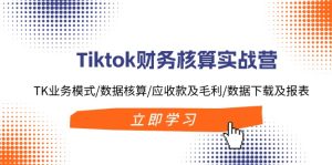 （11978期）Tiktok财务核算实战营：TK业务模式/数据核算/应收款及毛利/数据下载及报表-网创电课网