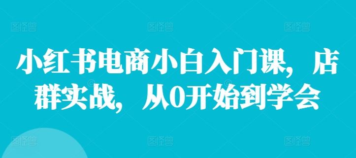 小红书电商小白入门课，店群实战，从0开始到学会-网创电课网