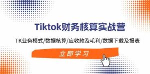 Tiktok财务核算实战营:TK业务模式/数据核算/应收款及毛利/数据下载及报表-网创电课网