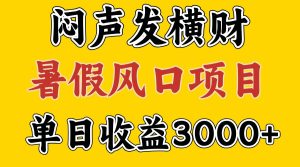 30天赚了7.5W 暑假风口项目,比较好学,2天左右上手-网创电课网