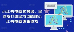 小红书电商实操课,全体系打造全方位梳理小红书电商逻辑体系-网创电课网