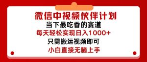 （12017期）微信中视频伙伴计划，仅靠搬运就能轻松实现日入500+，关键操作还简单，…-网创电课网