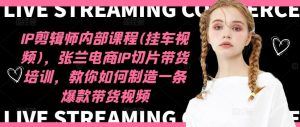 IP剪辑师内部课程(挂车视频)，张兰电商IP切片带货培训，教你如何制造一条爆款带货视频-网创电课网
