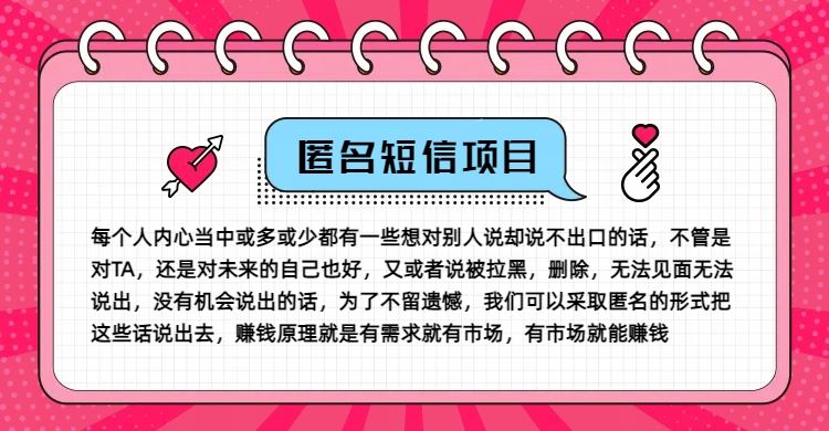 冷门小众赚钱项目，匿名短信，玩转信息差，月入五位数【揭秘】-网创电课网