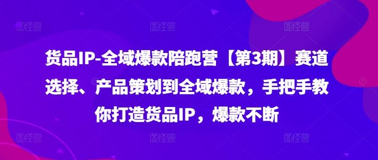 货品IP全域爆款陪跑营【第3期】赛道选择、产品策划到全域爆款,手把手教你打造货品IP,爆款不断-网创电课网