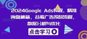 2024Google Ads教程，精准询盘秘籍，谷歌广告投放流程，数据分析与优化-网创电课网