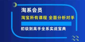 淘系会员初级到高手全系实战宝典【淘宝所有课程，全面分析对手】-网创电课网