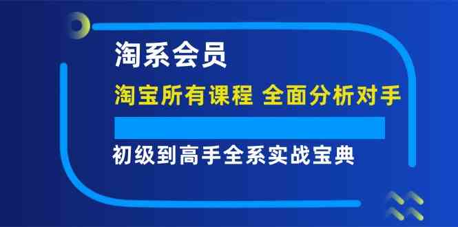 淘系会员初级到高手全系实战宝典【淘宝所有课程，全面分析对手】-网创电课网