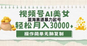 （12087期）视频号AI美女跳舞，轻松月入30000+，蓝海赛道，流量池巨大，起号猛，无…-网创电课网