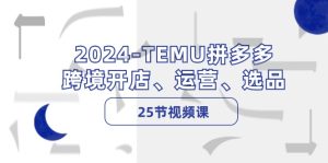 (12106期)2024-TEMU拼多多·跨境开店、运营、选品(25节视频课)-网创电课网