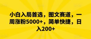 小白入局首选，图文赛道，一周涨粉5000+，简单快捷，日入200+-网创电课网