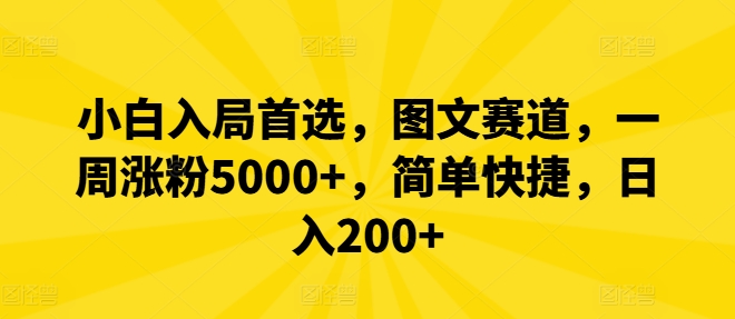 小白入局首选，图文赛道，一周涨粉5000+，简单快捷，日入200+-网创电课网