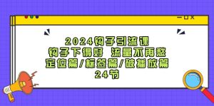 钩子引流课：钩子下得好流量不再愁，定位篇/标签篇/破播放篇/24节-网创电课网