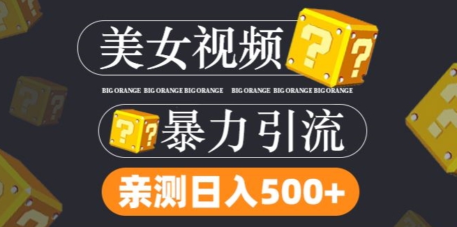 搬运tk美女视频全网分发，日引s粉300+，轻松变现，不限流量不封号-网创电课网