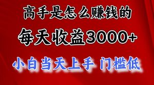 (12144期)1天收益3000+,月收益10万以上,24年8月份爆火项目-网创电课网