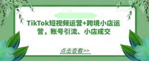 TikTok短视频运营+跨境小店运营，账号引流、小店成交-网创电课网