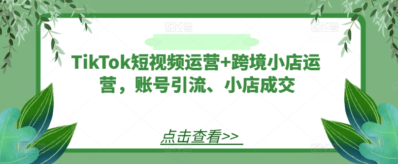 TikTok短视频运营+跨境小店运营,账号引流、小店成交-网创电课网